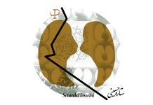 ستاره حسینی