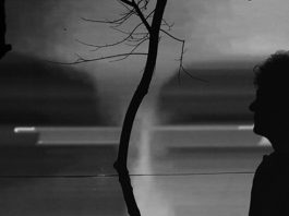 main header parvizi